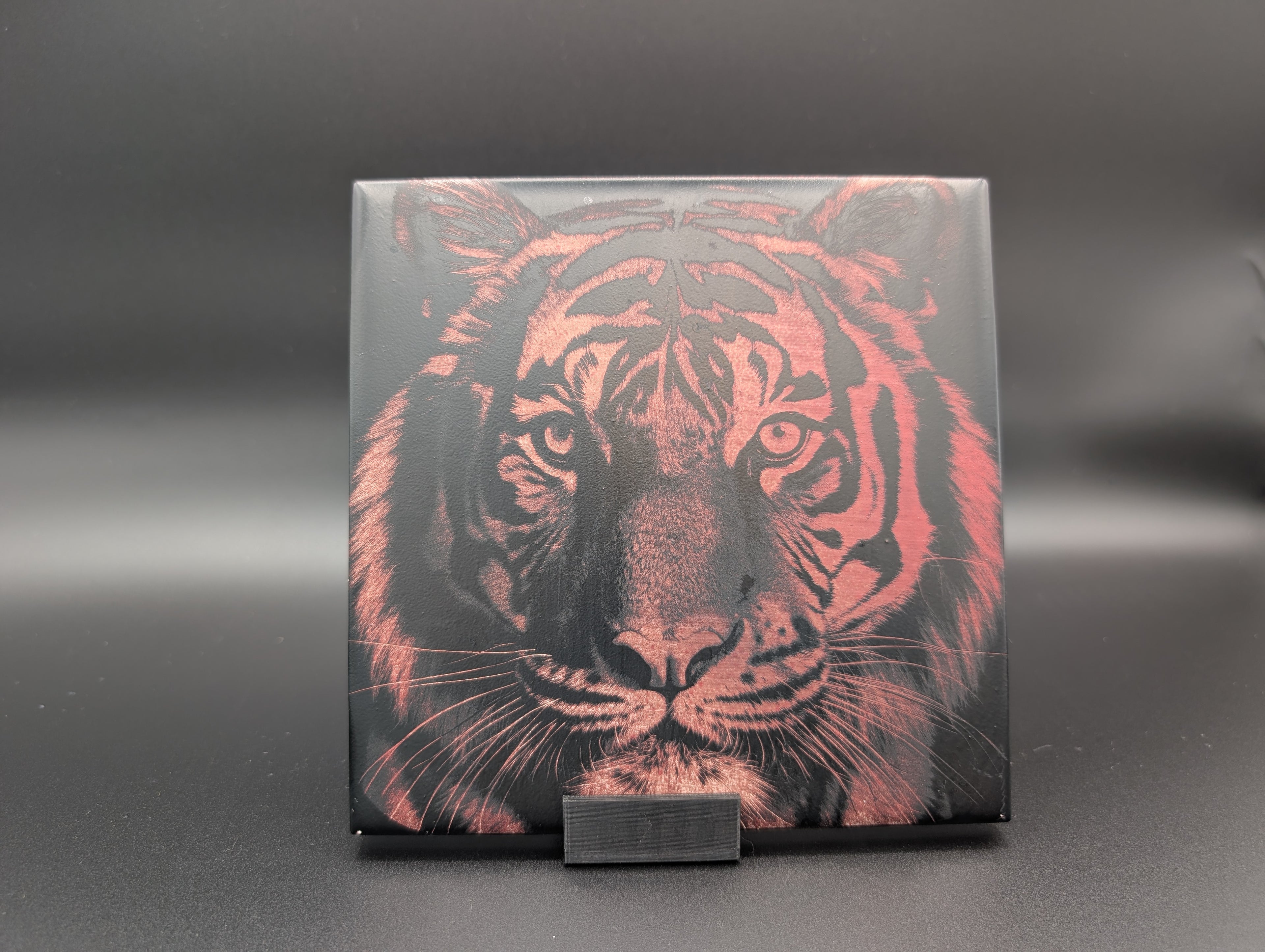 6x6 Custom Pet Photo Tile
