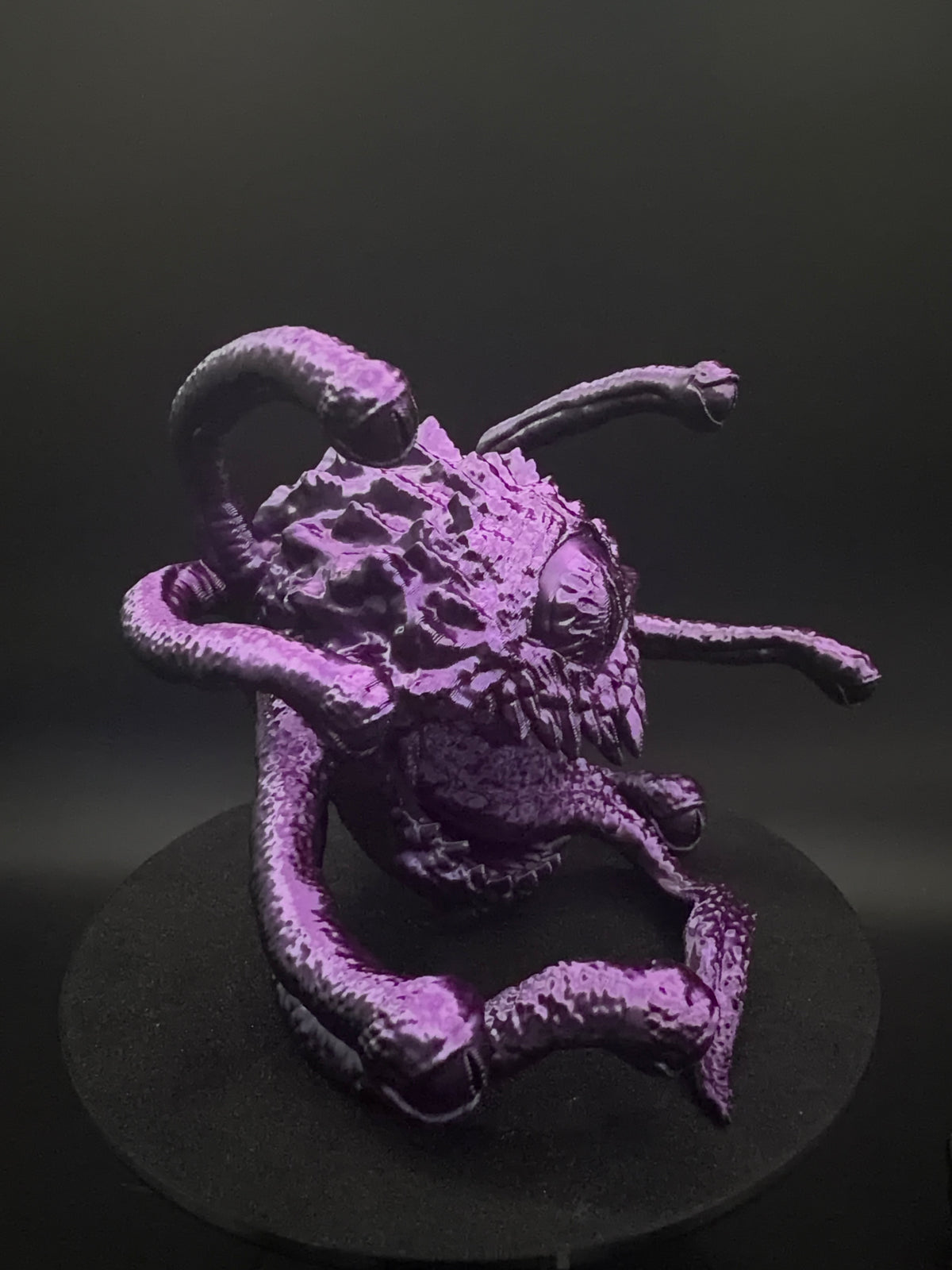 Close front view of the central eye and tentacles [Black Purple]