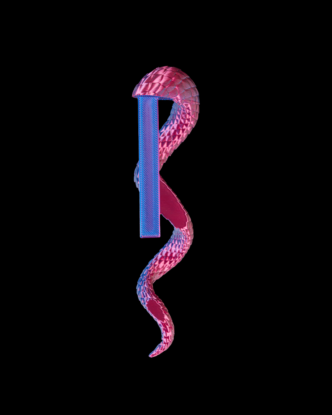 Dragon Tail pen holder pink and blue dual color rear view showing the clip and dragon tail texture