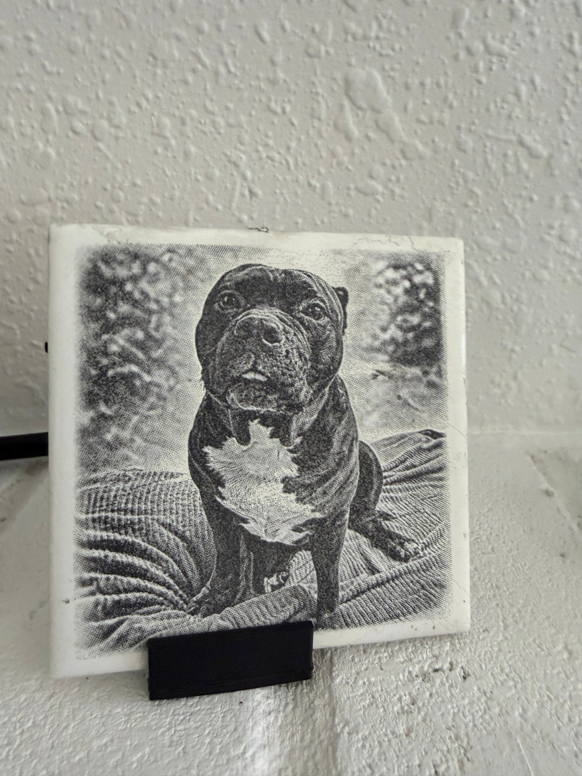 Custom MemoryTile pet photo keepsake tile displayed on a stand