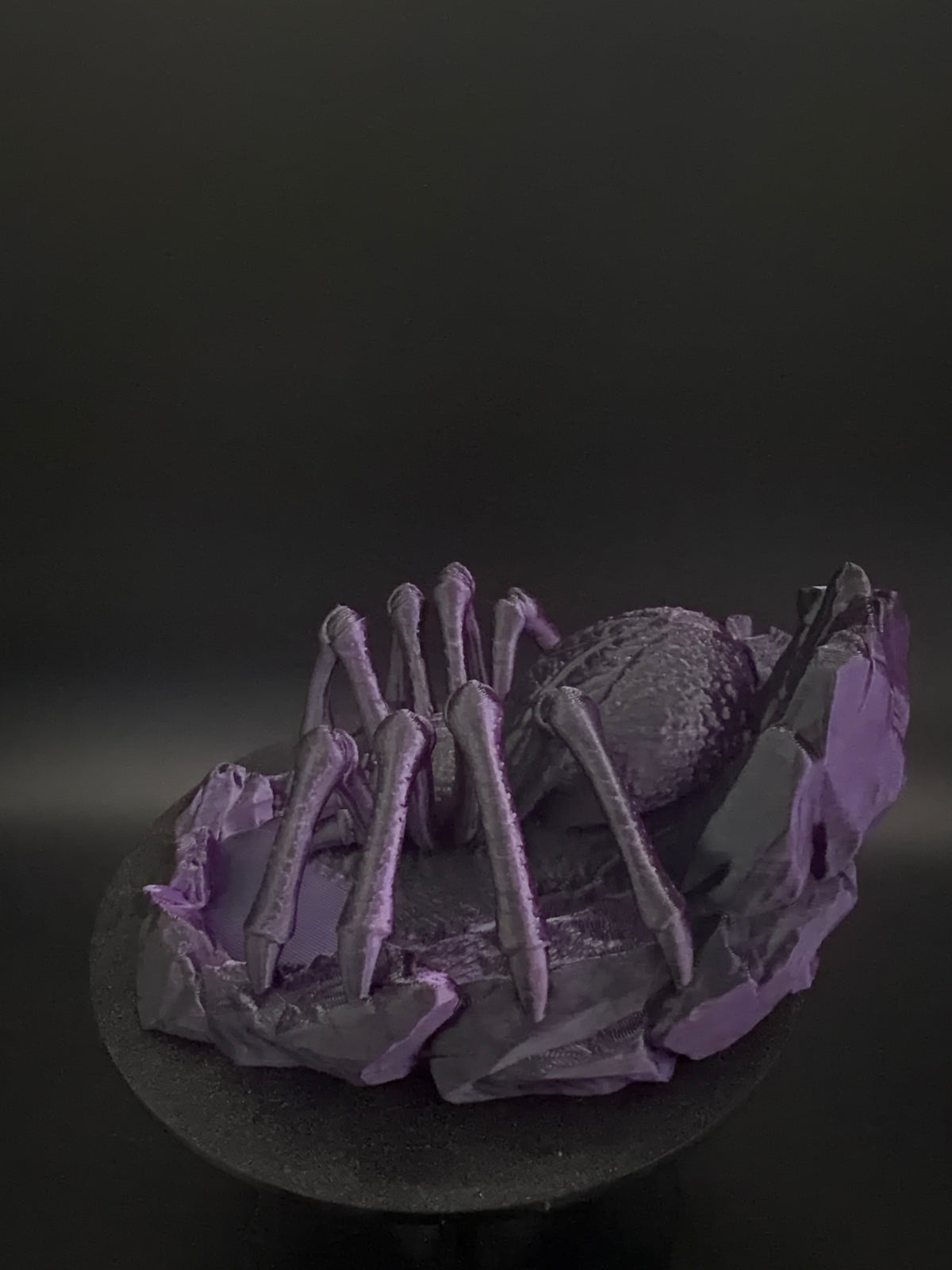 Rear view of spider dice tower